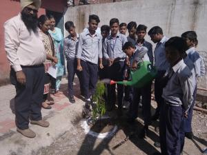 Green School Drive 04.09.17 03-min