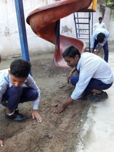 Green School Drive 04.09.17 07-min