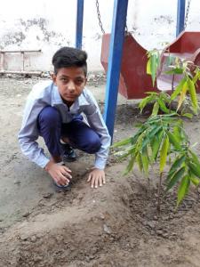 Green School Drive 04.09.17 08-min