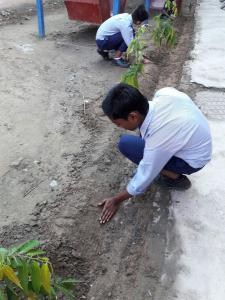 Green School Drive 04.09.17 10-min