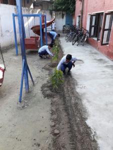 Green School Drive 04.09.17 11-min